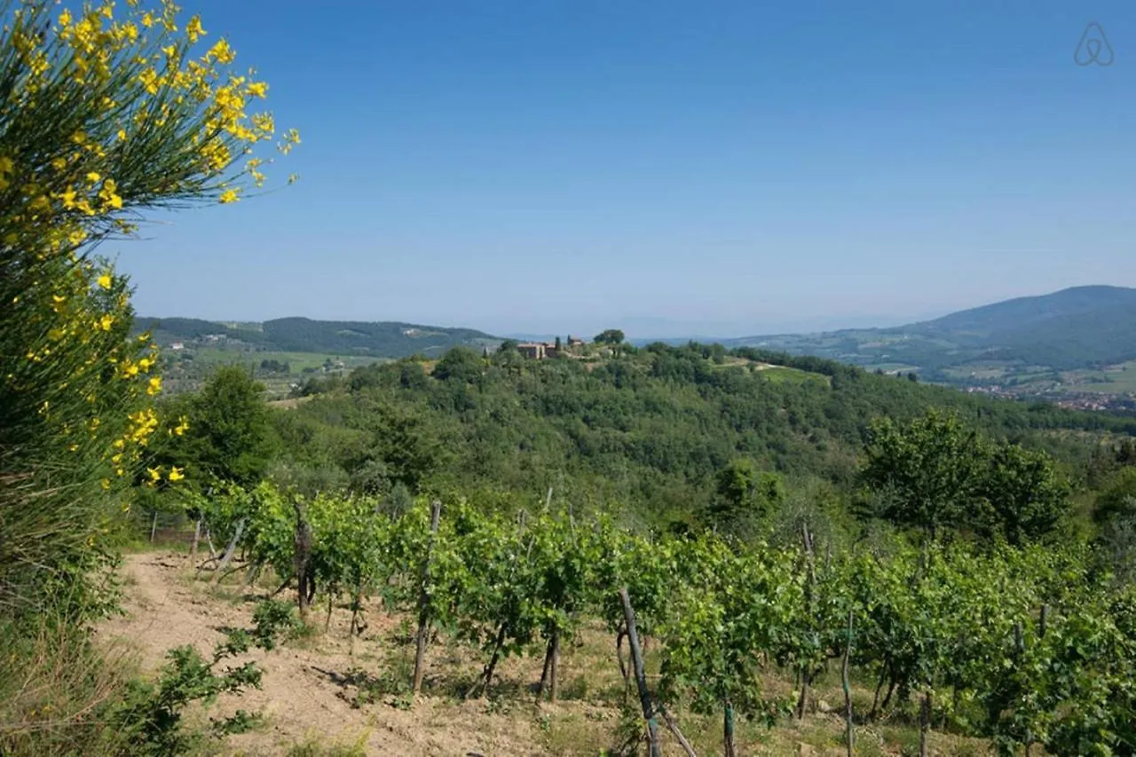 Castello Di Montegonzi Guest House Florence